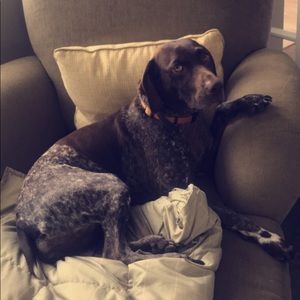 Meet your Posher, Matthew